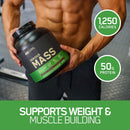 Optimum Nutrition, Serious Mass, Weight Gainer Protein Powder, Vanilla, 6.lb
